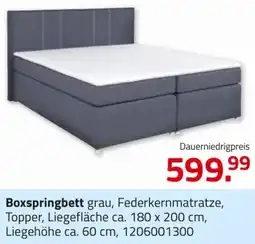 ROLLER Boxspringbett Angebot