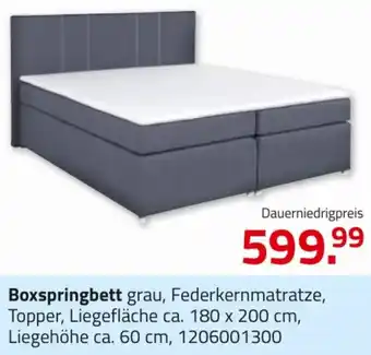 ROLLER Boxspringbett Angebot