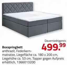 ROLLER Boxspringbett Angebot