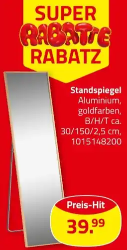 ROLLER Standspiegel Angebot
