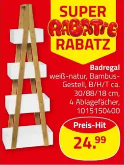 ROLLER Badregal Angebot