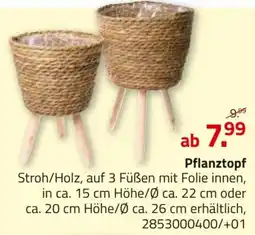 ROLLER Pflanztopf Angebot