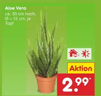 Netto Marken-Discount Aloe Vera Angebot