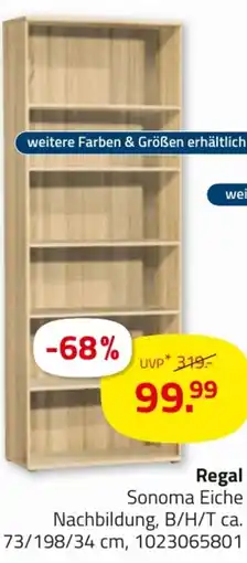 ROLLER Regal Angebot