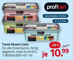 ROLLER profitan Trend Akzent Color Angebot