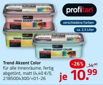 ROLLER profitan Trend Akzent Color Angebot