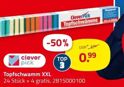 ROLLER clever pick Topfschwämme XXL Angebot