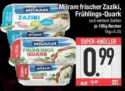 E-Center Milram frischer Zaziki, Frühlings-Quark Angebot