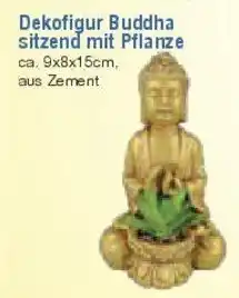 E-Center Dekofigur Buddha sitzend mit Pflanze Angebot
