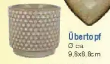 E-Center Übertopf Angebot