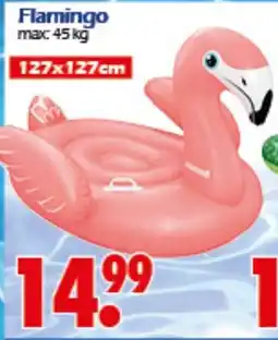 Wreesmann Flamingo Angebot