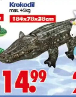 Wreesmann Krokodil Angebot
