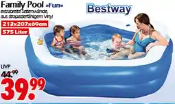Wreesmann Bestway Family Pool Fun Angebot