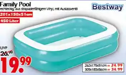 Wreesmann Family Pool Bestway Angebot