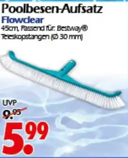 Wreesmann Poolbesen-Aufsatz Flowclear Angebot