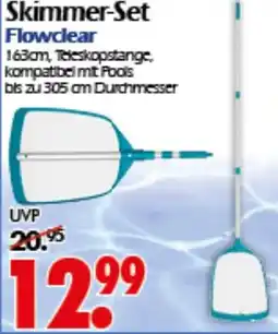 Wreesmann Skimmer-Set Flowclear Angebot