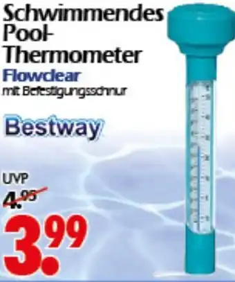 Wreesmann Schwimmendes Pool- Thermometer Flowclear Bestway Angebot