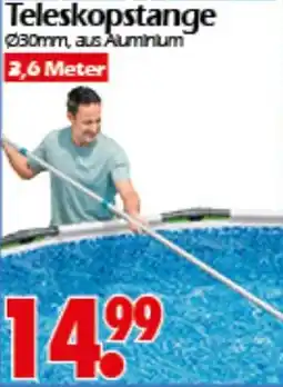 Wreesmann Teleskopstange Angebot