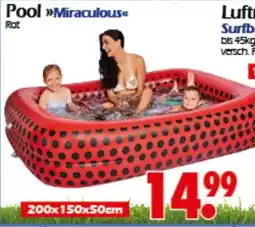 Wreesmann Pool Miraculous Angebot