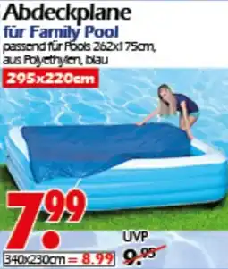 Wreesmann Abdeckplane für Family Pool Angebot
