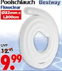 Wreesmann Poolschlauch Bestway Angebot
