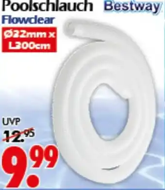 Wreesmann Poolschlauch Bestway Angebot