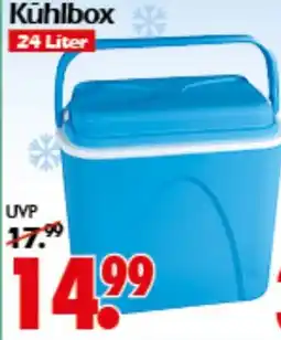 Wreesmann Kühlbox Angebot