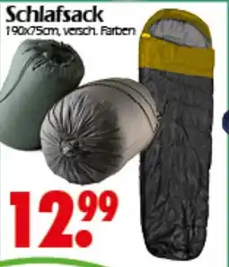 Wreesmann Schlafsack Angebot