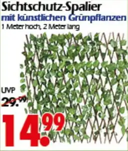 Wreesmann Sichtschutz-Spalier Angebot