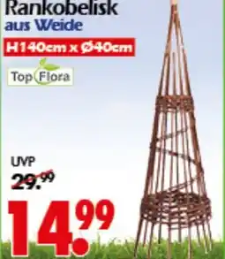 Wreesmann Rankobelisk Top Flora Angebot