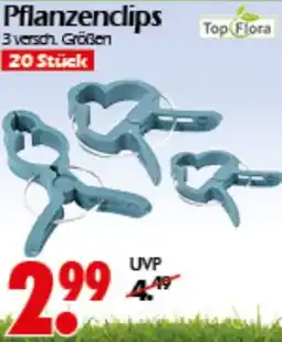 Wreesmann Top Flora Pflanzenclips Angebot