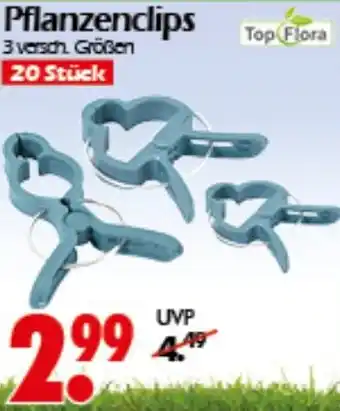 Wreesmann Top Flora Pflanzenclips Angebot