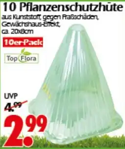Wreesmann 10 Pflanzenschutzhūte Top Flora Angebot