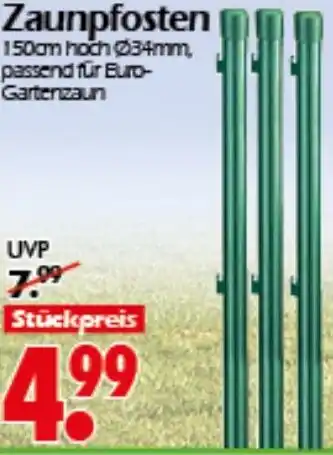Wreesmann Zaunpfosten Angebot