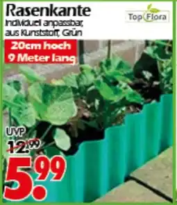 Wreesmann Rasenkante Top Flora Angebot