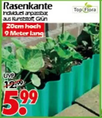 Wreesmann Rasenkante Top Flora Angebot