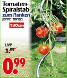 Wreesmann Tomaten- Spiralstab Angebot