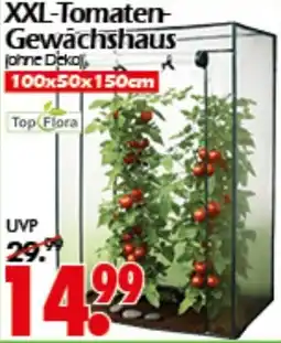 Wreesmann XXL-Tomaten- Gewächshaus Angebot