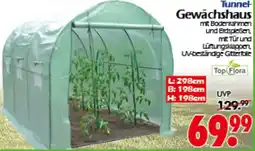 Wreesmann Tunnel -Gewächshaus Top Flora Angebot