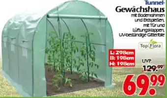 Wreesmann Tunnel -Gewächshaus Top Flora Angebot