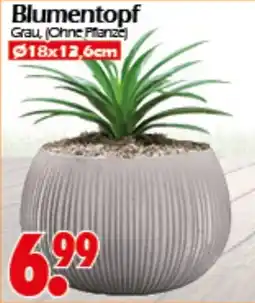 Wreesmann Blumentopf Angebot