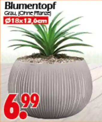 Wreesmann Blumentopf Angebot