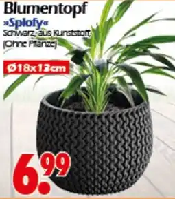 Wreesmann Blumentopf Splofy Angebot