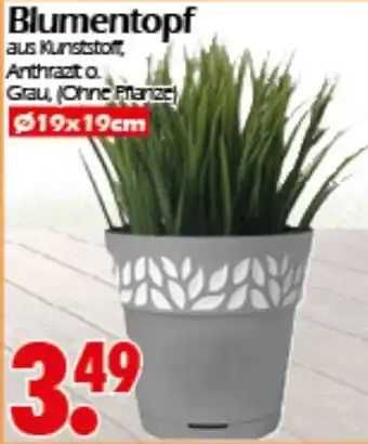 Wreesmann Blumentopf Angebot