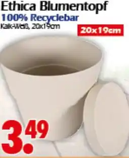 Wreesmann Ethica Blumentopf Angebot