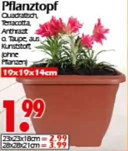 Wreesmann Pflanztopf Angebot