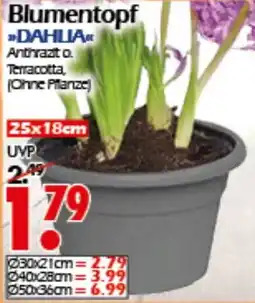 Wreesmann Blumentopf Angebot