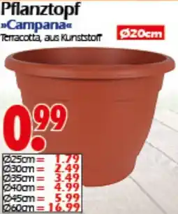 Wreesmann Pflanztopf Campana Angebot