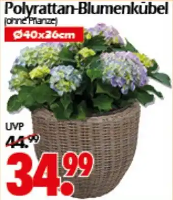 Wreesmann Polyrattan-Blumenkübel Angebot