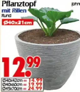Wreesmann Pflanztopf Angebot